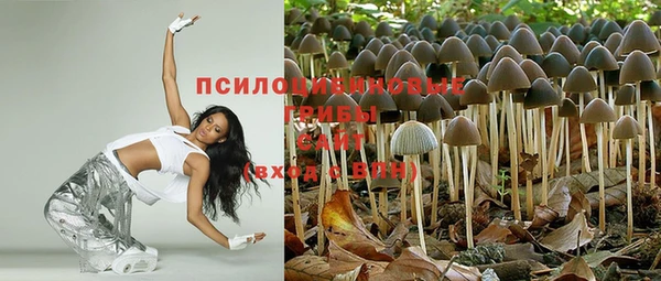 герыч Белокуриха