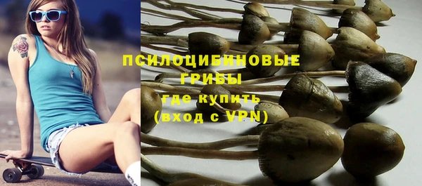 герыч Белокуриха