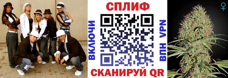 Бошки Шишки семена  Ачхой-Мартан 